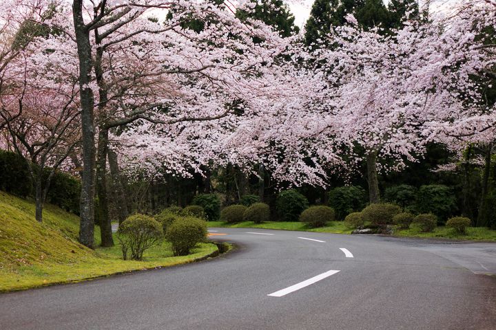 ※画像はイメージです