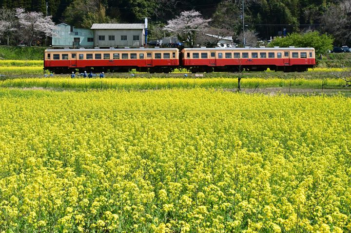 大人も子供も楽しめる 家族旅行におすすめな電車旅スポット10選 Retrip リトリップ