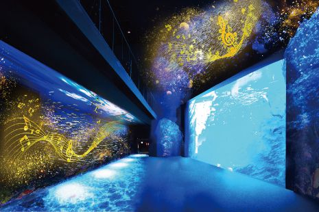 【終了】水族館で日本酒を。仙台で「魚を肴に 日本酒ナイト水族館」開催