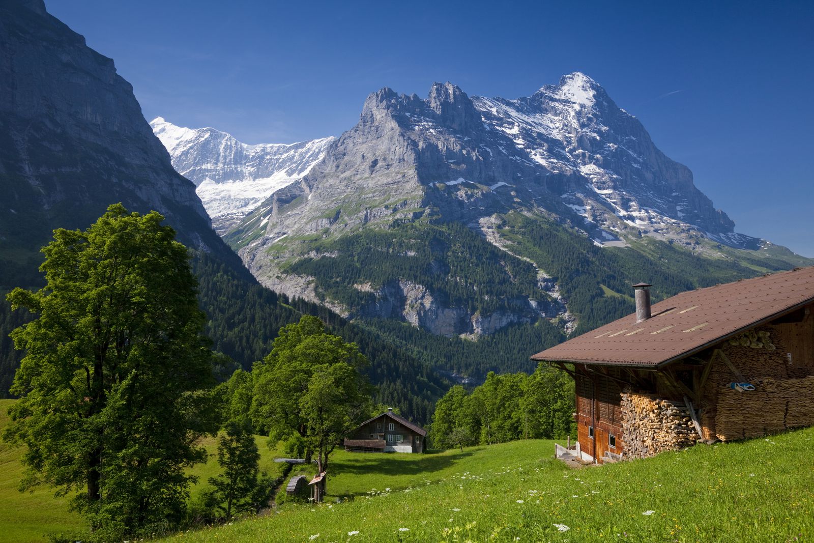 メイン画像 絵本のようなアルプスの世界 スイス グリンデルワルトの大自然でしたいこと9選 Retrip リトリップ