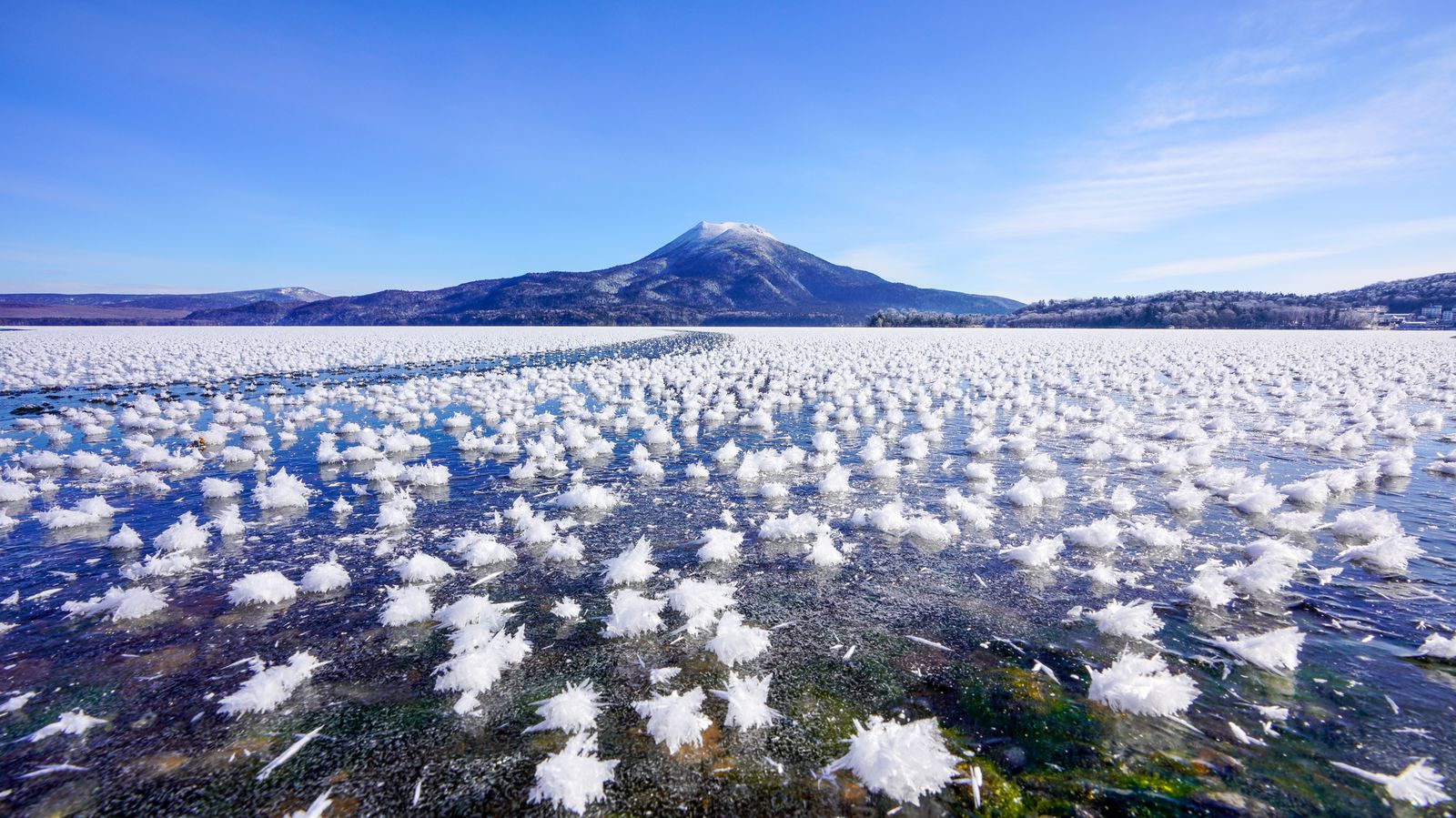 一面の雪の花は圧巻 北海道阿寒湖で見られる フロストフラワー とは Retrip リトリップ