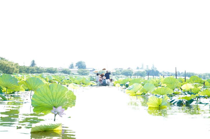 まだ見ぬ景色にきっとあなたも驚く 群馬県 館林市 の魅力5選 Retrip リトリップ