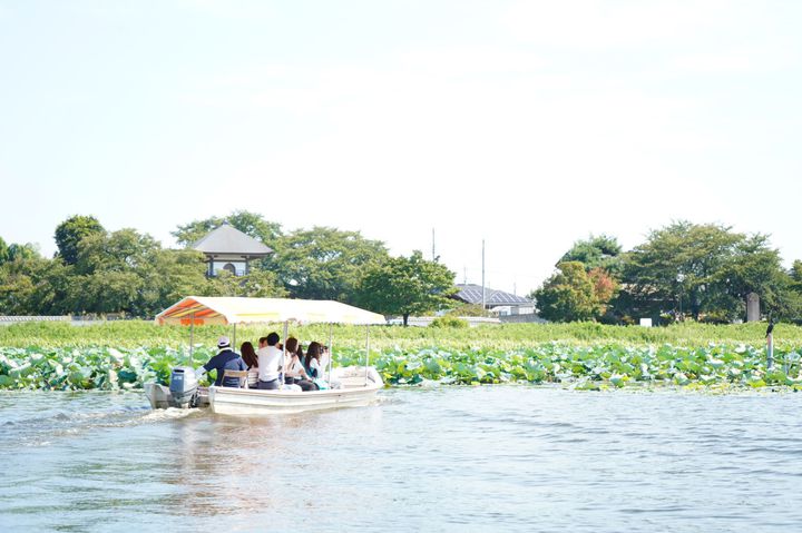 まだ見ぬ景色にきっとあなたも驚く 群馬県 館林市 の魅力5選 Retrip リトリップ