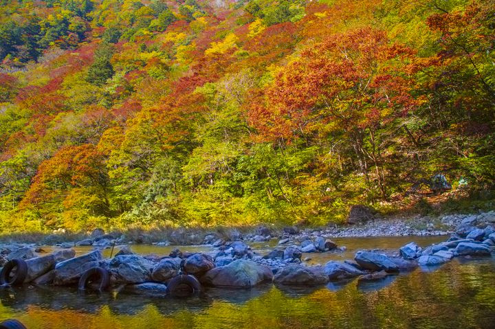 広島に世界が認めた秘境があった 紅葉の 三段峡 が作りだす絶景が見たい Retrip リトリップ