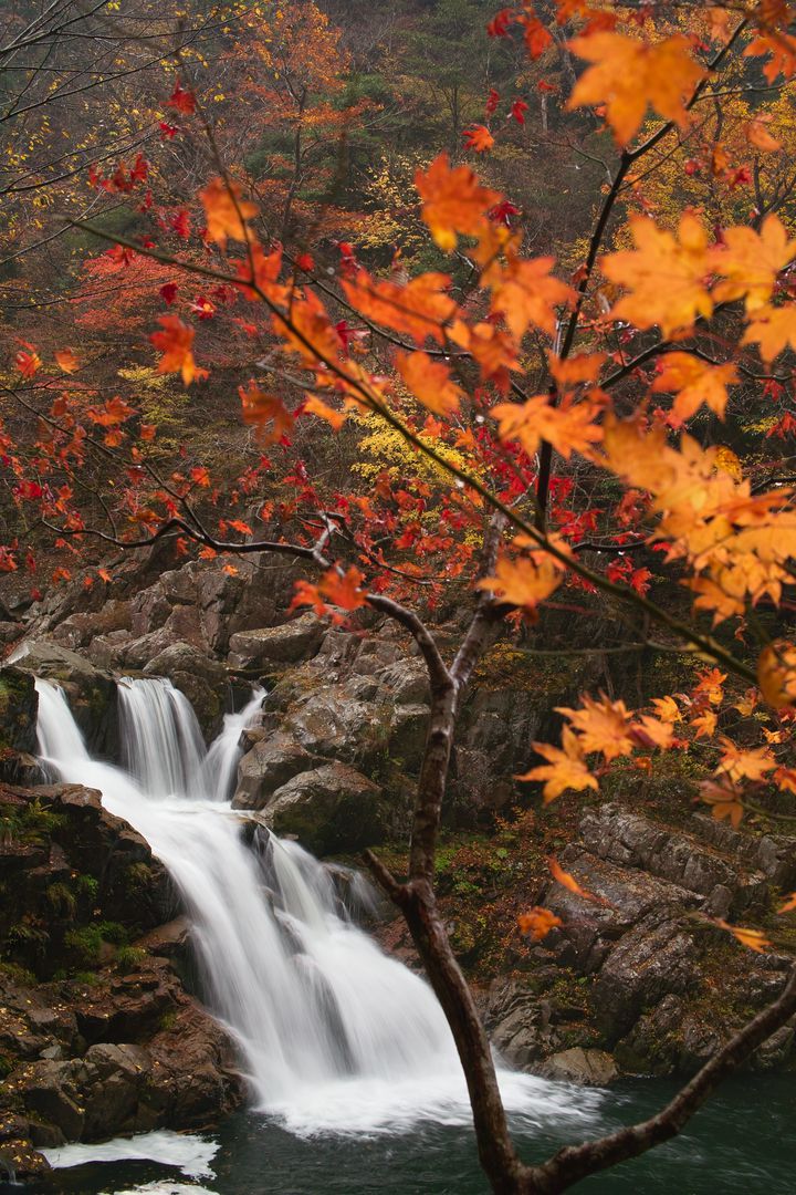 広島に世界が認めた秘境があった 紅葉の 三段峡 が作りだす絶景が見たい Retrip リトリップ