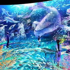 ニュース画像