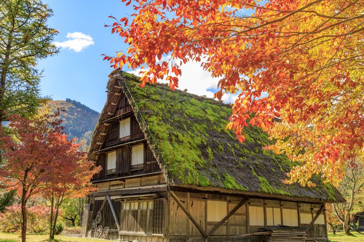 終了 風情ある日本の秋 合掌造りで有名な 白川郷 が紅葉で彩られる Retrip リトリップ