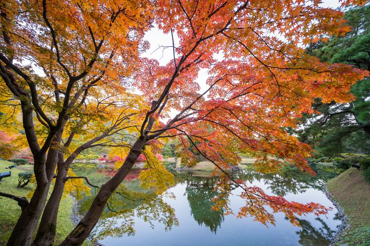 愛を深める週末 香川の 特別名勝 栗林公園の紅葉 を見にいこう Retrip リトリップ