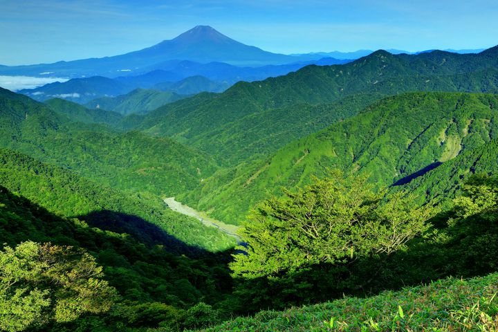関東圏にもこんな山が 神奈川にある魅力的な 登山スポット 15選 Retrip リトリップ