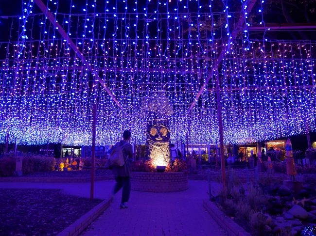 終了 広大な敷地に広がる絶景 国営武蔵丘陵森林公園で 紅葉見ナイト もみじみないと 開催 Retrip リトリップ