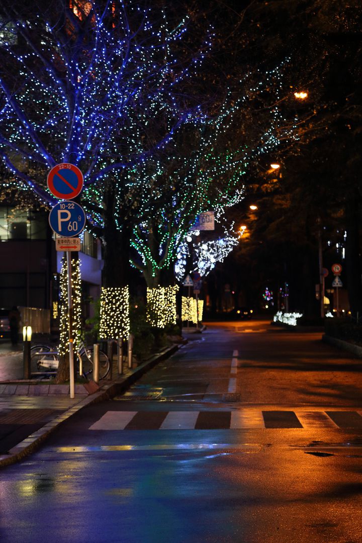 終了 街全体がキラめく 山口県周南市で開催 周南冬のツリーまつり で心温まる冬を Retrip リトリップ