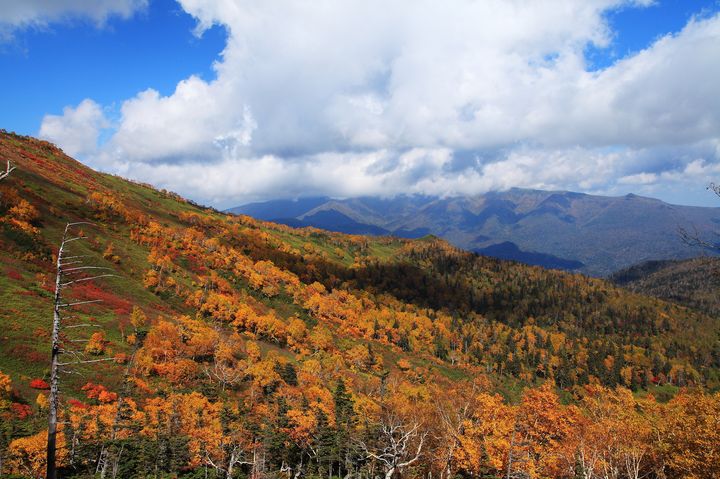 紅葉を見ながら山登り 紅葉登山にぴったりの全国紅葉スポット10選 Retrip リトリップ