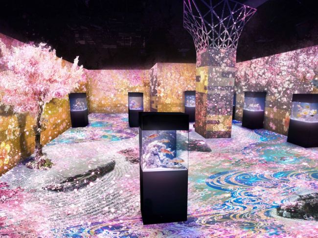 終了 臨時休館中 室内で楽しむ満開の桜 品川で Naked Sakura Aquarium 開催 Retrip リトリップ