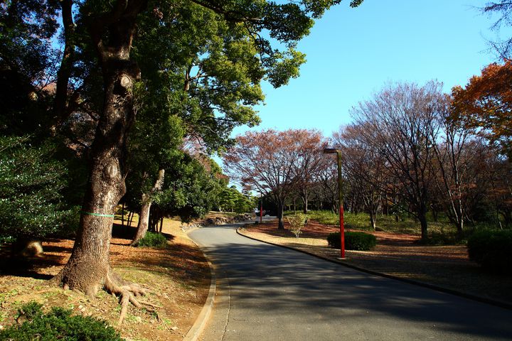 時間帯別 落ち着いたカフェで大人の仲間入り 代々木公園 代々木八幡の今行きたいカフェまとめ Retrip リトリップ