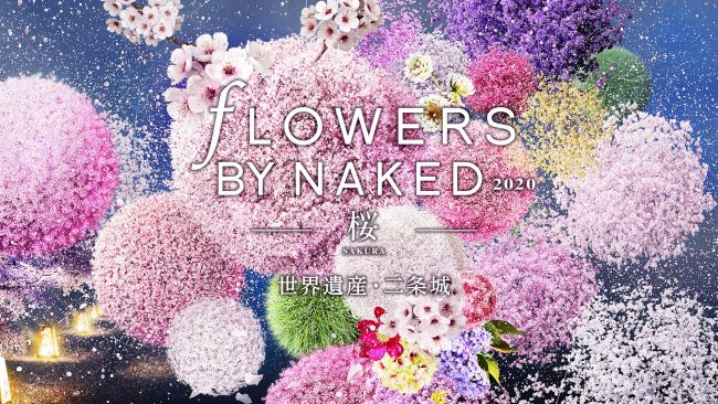 開催中止 夜桜に酔いしれる 京都 二条城でflowers By Naked 桜 開催 Retrip リトリップ