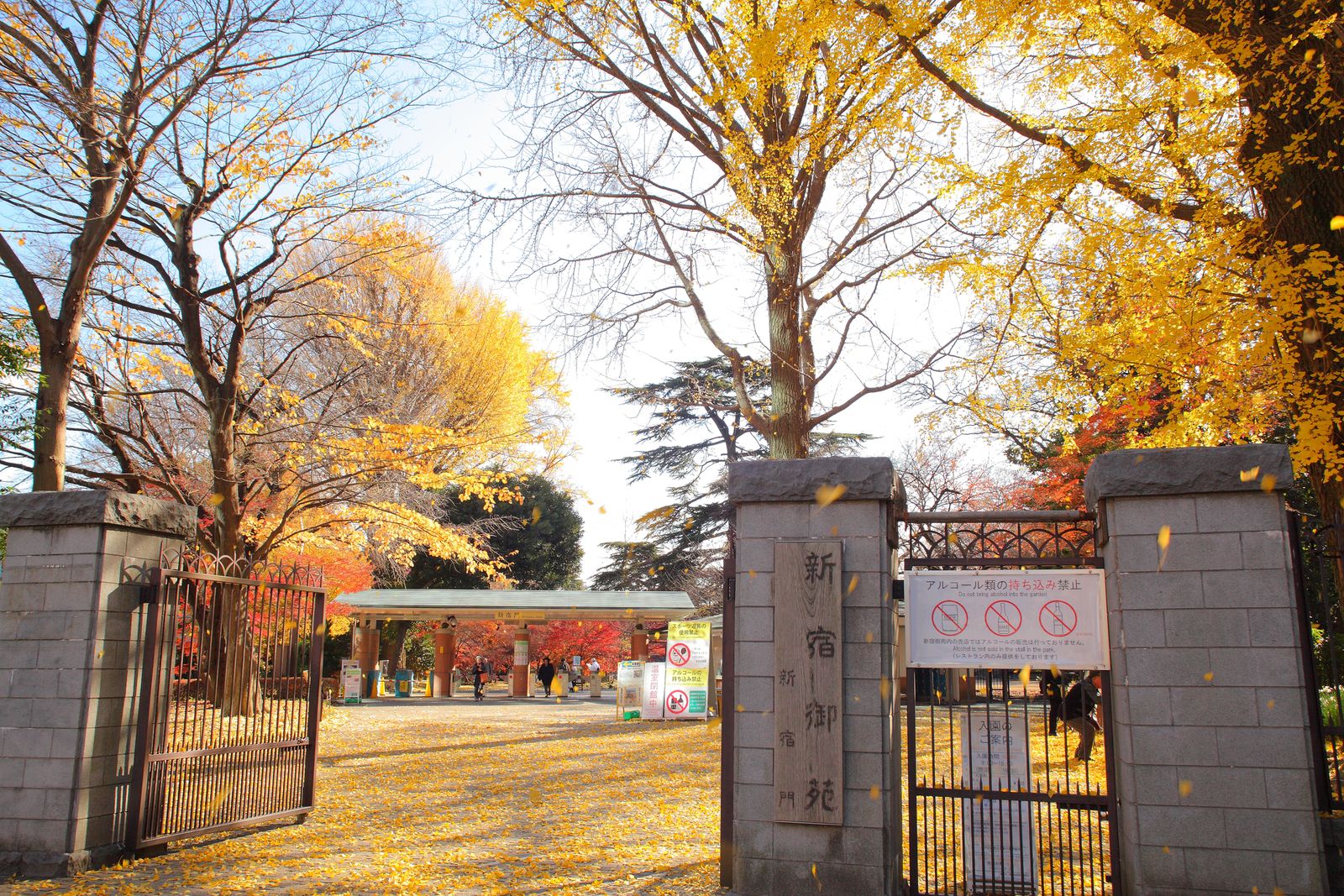 洗練された都会のオアシス 秋の休日は 新宿御苑 の紅葉に癒されよう Retrip リトリップ