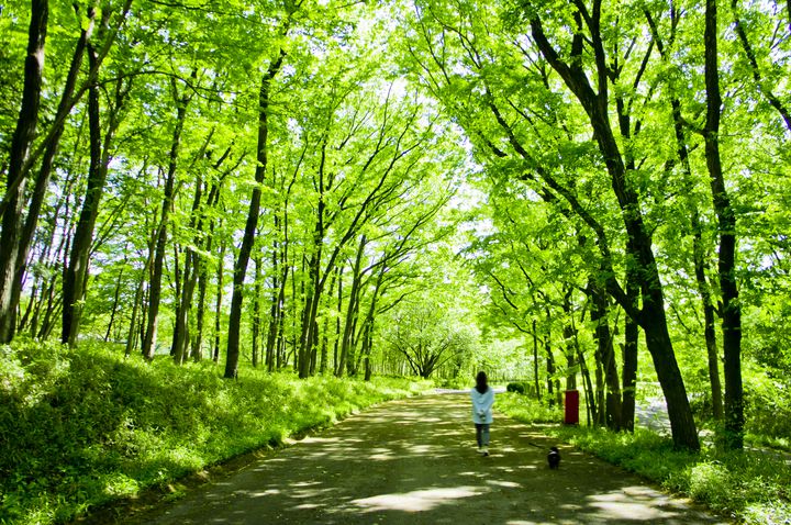 埼玉県で子供と遊べるおすすめレジャースポット14選 Retrip リトリップ