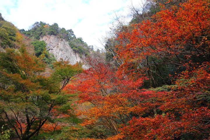 都心からたった60分 自然豊かな 秋川渓谷 の美しき紅葉を見逃すな Retrip リトリップ