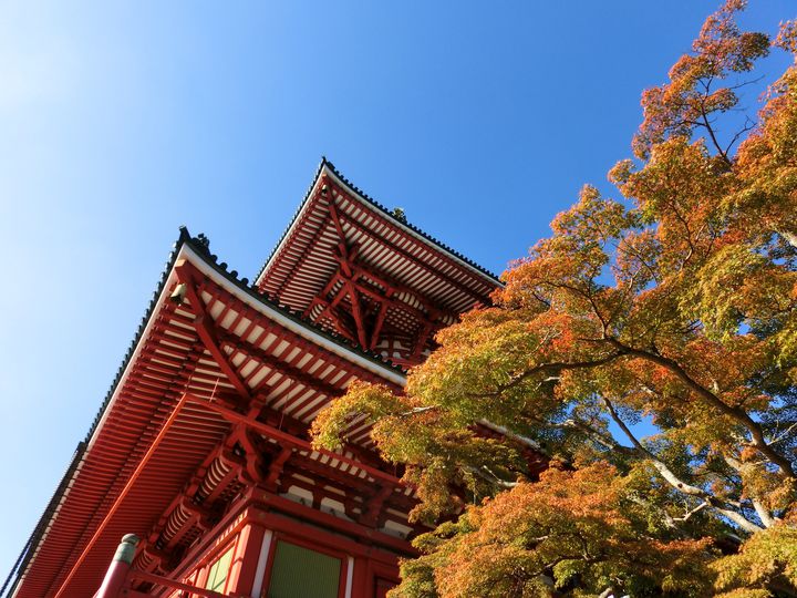 穴場紅葉スポットはここ 日帰りで行ける千葉県 成田山公園 の紅葉を見に行こう Retrip リトリップ