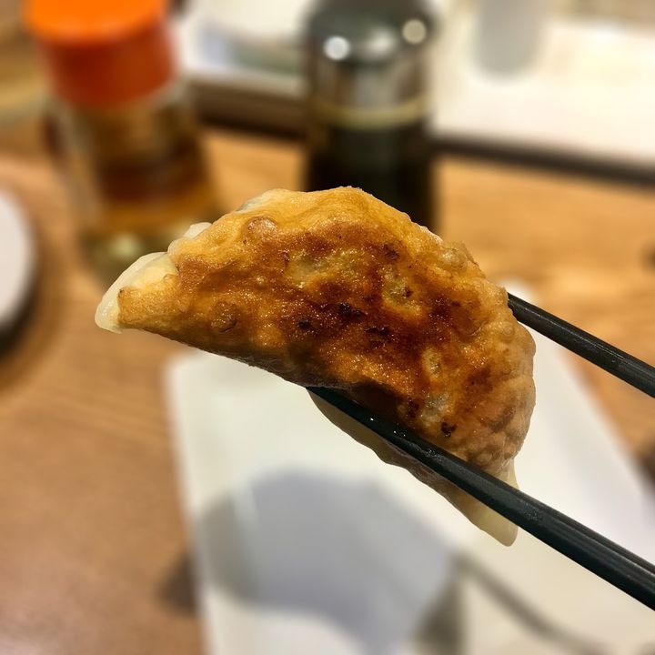 ギョービー、してる？「こりゃ食べなきゃ」な旨すぎる餃子の名店8選