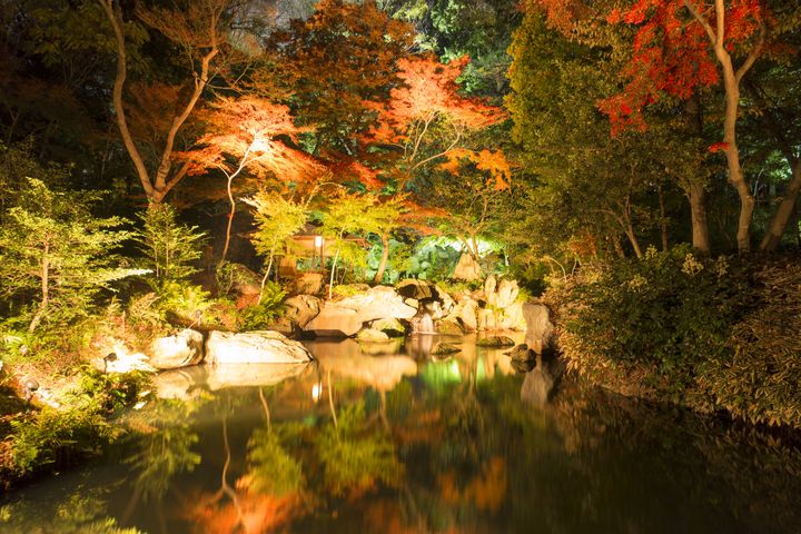 オススメは夜 東京で一番ロマンティックな紅葉スポット 六義園 とは Retrip リトリップ