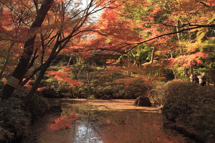 オススメは夜！東京で一番ロマンティックな紅葉スポット「六義園」とは | RETRIP[リトリップ]