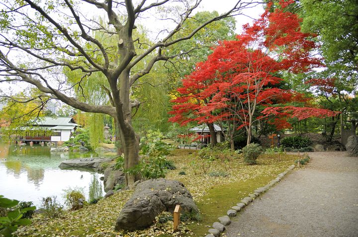 東京都内の超穴場スポット 美しい紅葉の名所 清澄庭園 が楽園すぎる Retrip リトリップ