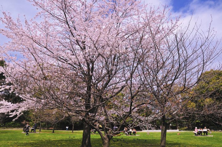 東京都内の超穴場スポット 美しい紅葉の名所 清澄庭園 が楽園すぎる Retrip リトリップ