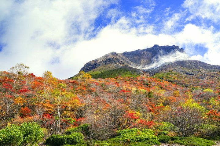 美しい紅葉に感涙！今年は絶対に行ってみたい那須の紅葉スポット7選