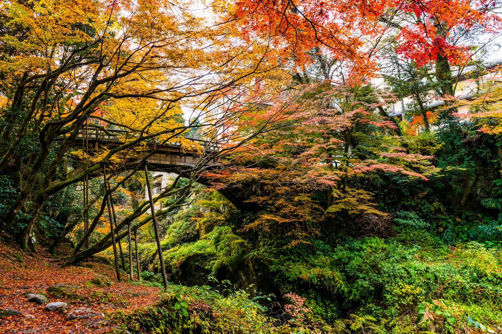 ライトアップも行われる石川県の人気紅葉スポット 山中温泉の 鶴仙渓 に行きたい Retrip リトリップ