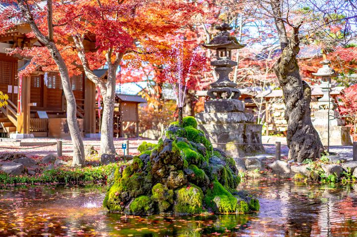 終了 小諸城址公園 懐古園 の紅葉がすごいらしい 懐古園の紅葉をまとめてみた Retrip リトリップ