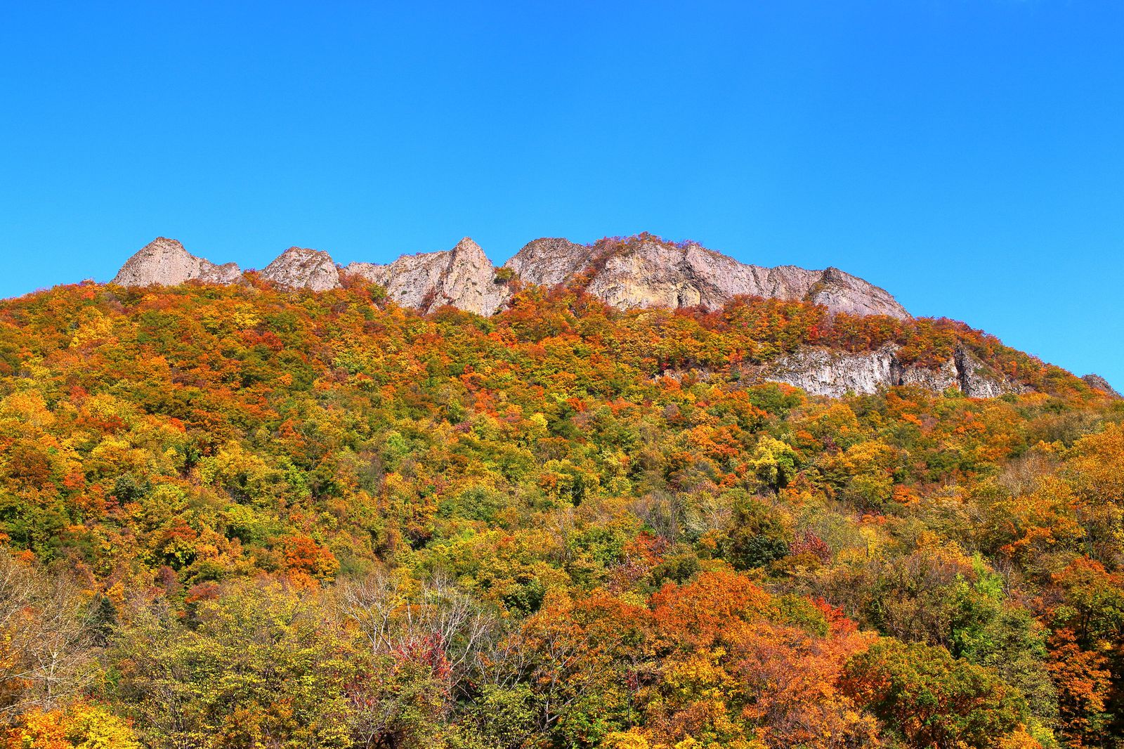 絶景の4県 わざわざ行きたい 四国 の紅葉ランキングtop10 Retrip リトリップ