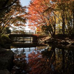 絶景の4県 わざわざ行きたい 四国 の紅葉ランキングtop10 Retrip リトリップ