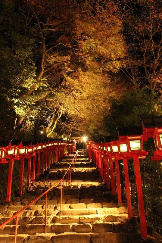京の秋の夜空を彩る紅葉のライトアップ。「京の奥座敷・貴船もみじ灯篭」 開催