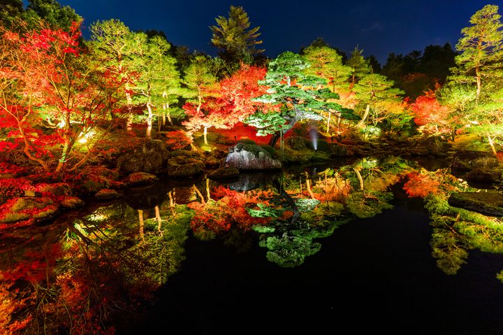 【終了】島根県が誇る本格的日本庭園「由志園」にて紅葉ライトアップが開催！