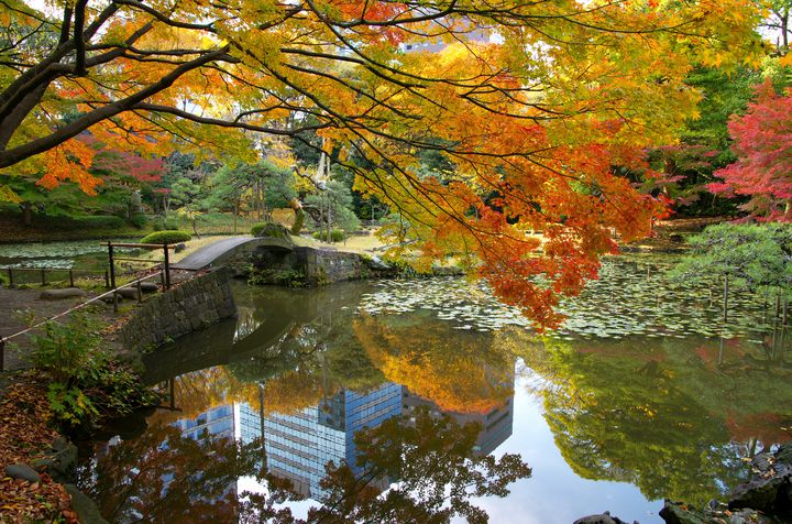 これぞ都会のオアシス 飯田橋 小石川後楽園 の紅葉が美しすぎる Retrip リトリップ