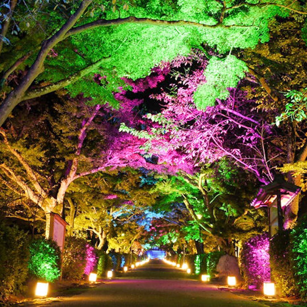 絶景紅葉スポットに一足早めのイルミネーションまで 関西地方で今週何する Retrip リトリップ 絶景紅葉スポットに一足早めのイルミネーションまで 関西地方で今週何する Retrip リトリップ