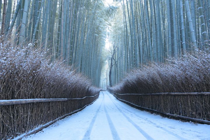 冬の京都 最強説 寒さなんて忘れる景色が見られるおすすめスポットまとめ Retrip リトリップ