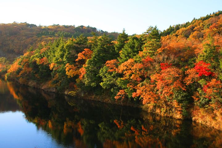 クルージングで紅葉狩り 千葉 亀山湖 の紅葉を観に行こう Retrip リトリップ