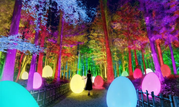 終了】梅×デジタルのアート空間。「チームラボ 偕楽園 光の祭」茨城に 