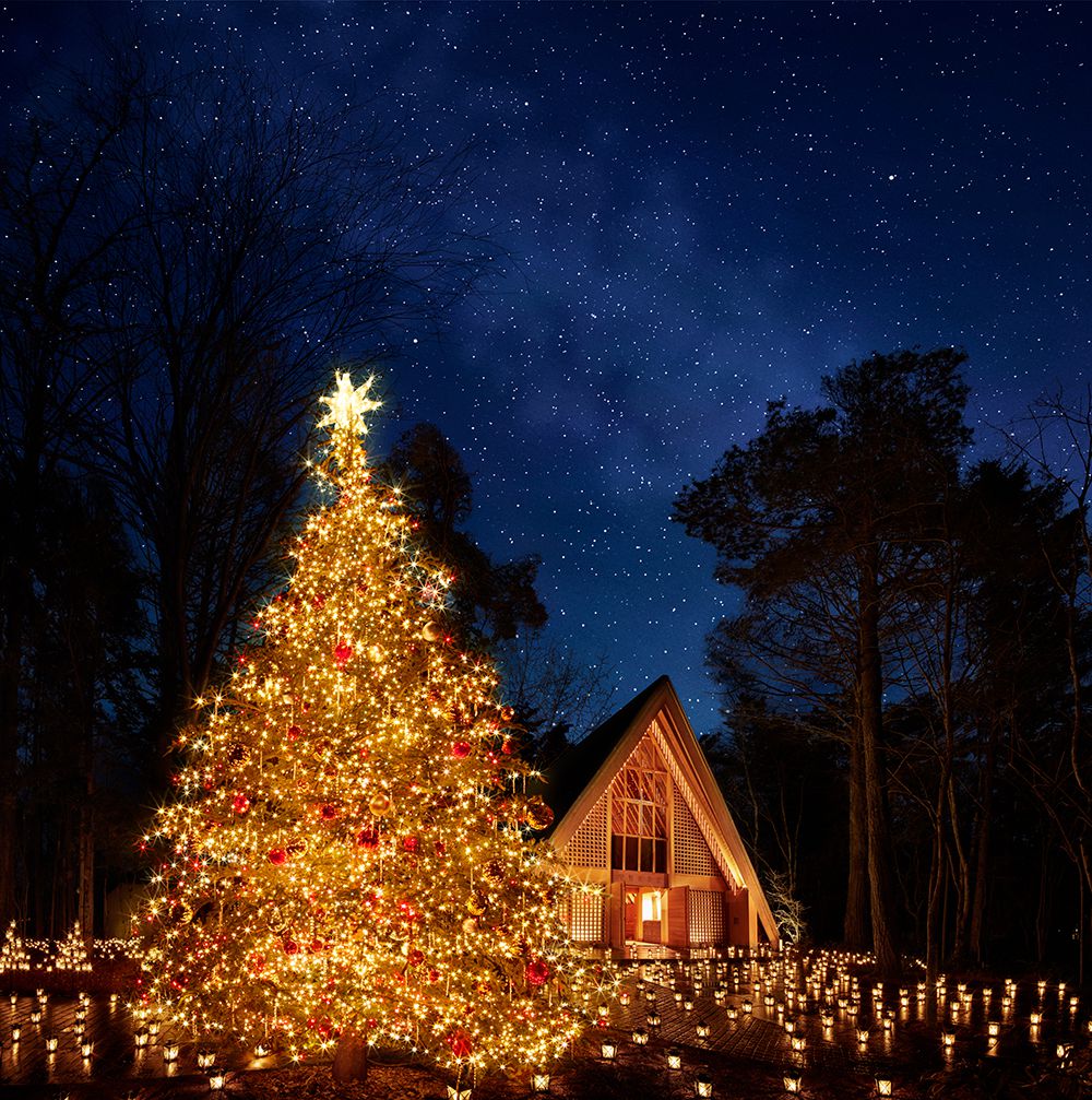 再びあのドキドキを マンネリカップルに捧げる1泊2日クリスマス旅行案 Retrip リトリップ