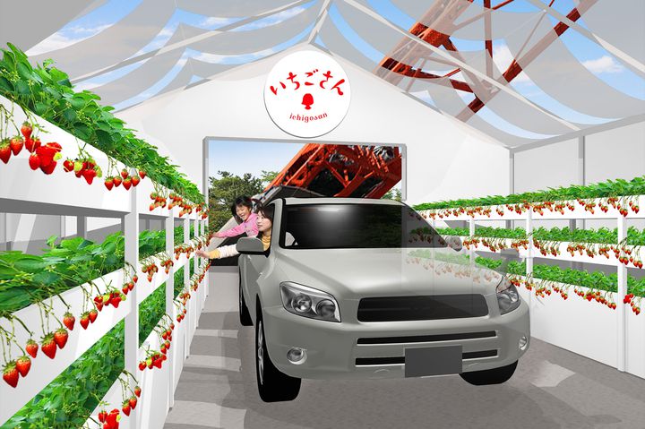 終了 車に乗ってイチゴ狩り いちごさんドライブスルー 東京タワーにて開催 Retrip リトリップ