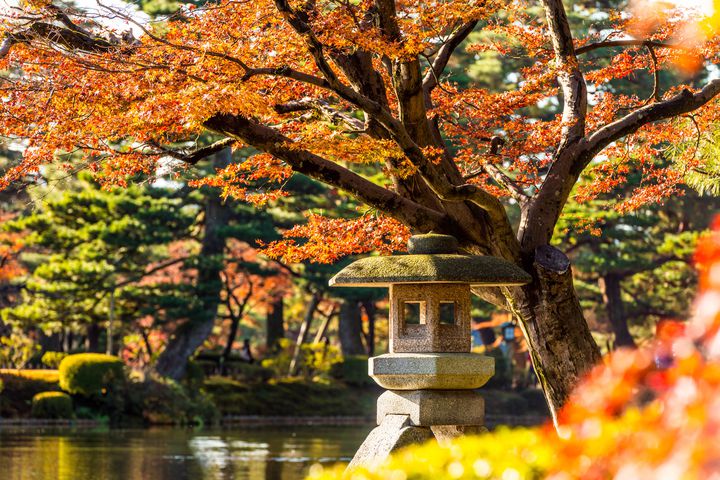 日本が誇る 美しき秋 金沢 兼六園 の紅葉が今年も美しすぎると話題に Retrip リトリップ