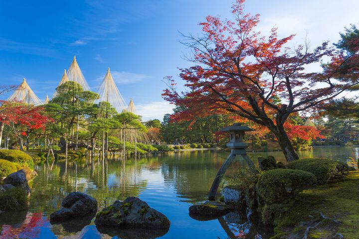 日本が誇る 美しき秋 金沢 兼六園 の紅葉が今年も美しすぎると話題に Retrip リトリップ