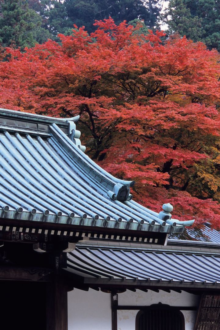 ご利益がこんなにも！神奈川・大雄山最乗寺の紅葉でパワーチャージしない？