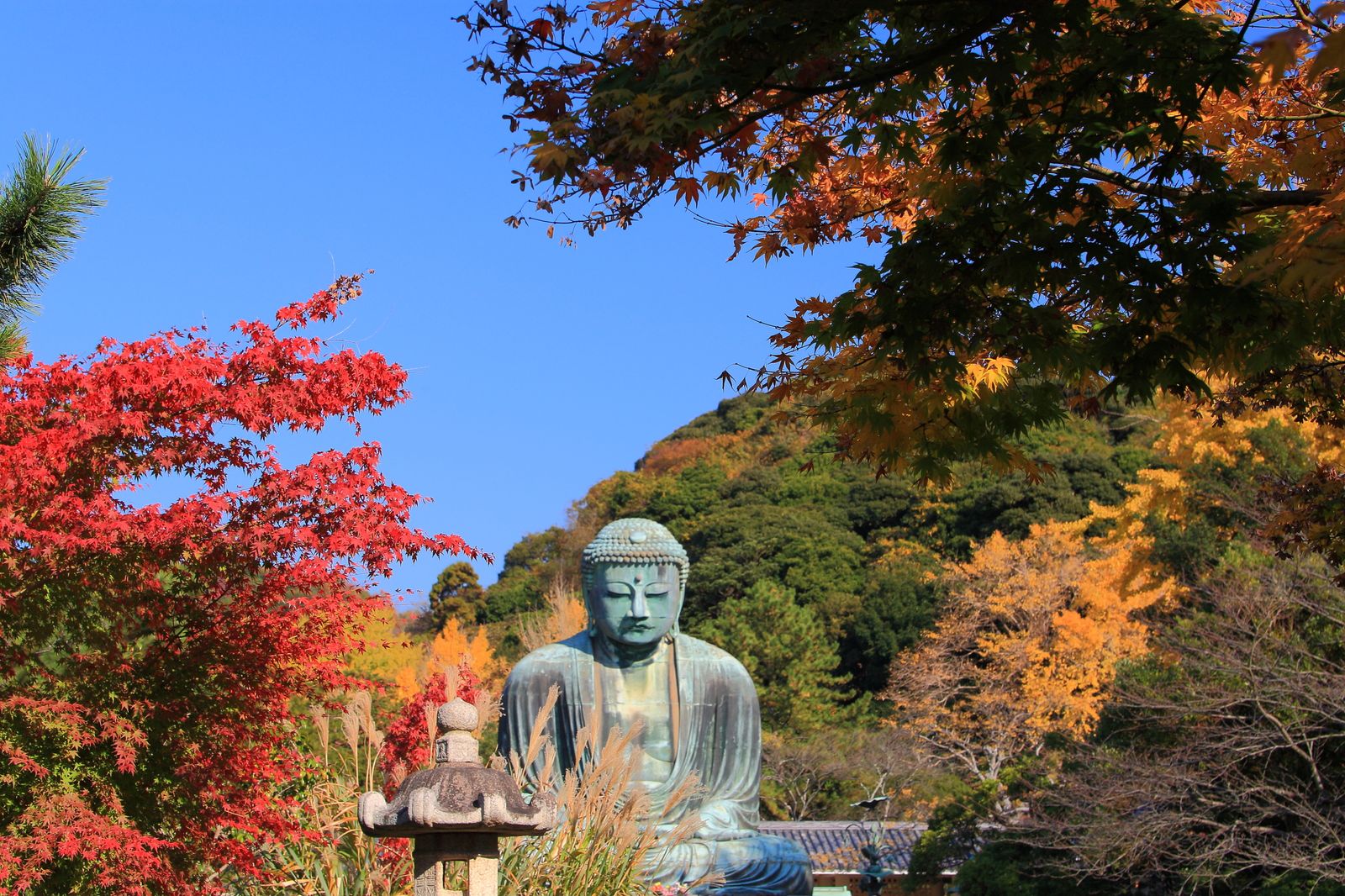 鎌倉で一番紅葉が遅い場所 瑞泉寺 の紅葉は絶対に見逃せない Retrip リトリップ