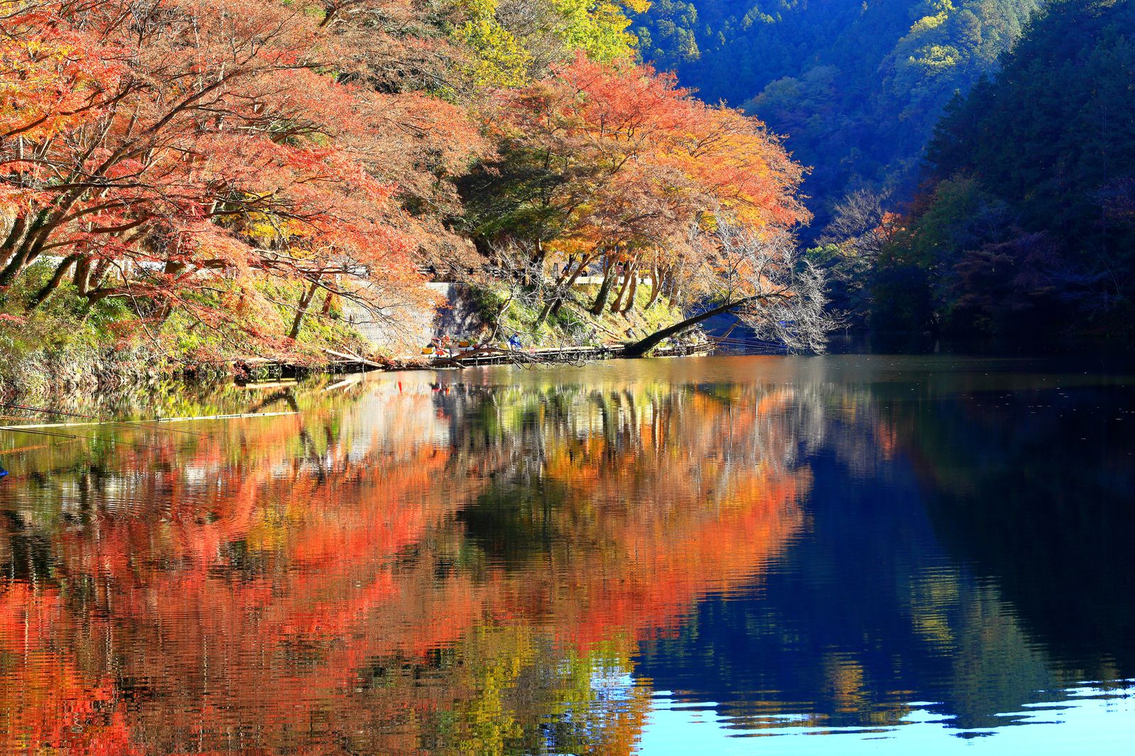 秋のドライブにぴったり 埼玉県 鎌北湖 でのんびり紅葉を楽しもう Retrip リトリップ