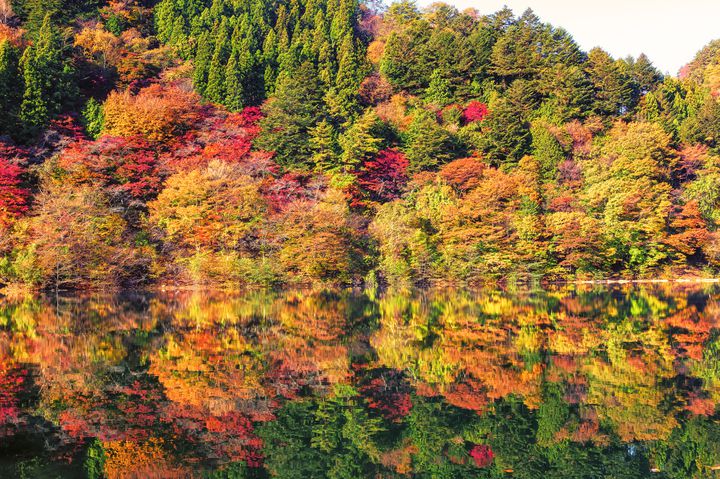 東京都内屈指の紅葉の名所 人生で一度は 奥多摩湖 の紅葉を見てみたい Retrip リトリップ