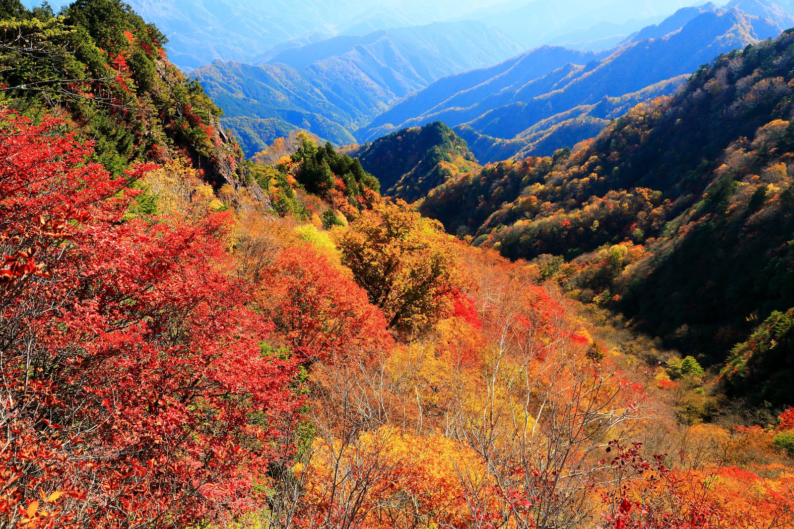 ハイキングをしながら美しい紅葉を堪能 秩父 両神山 の魅力とは Retrip リトリップ