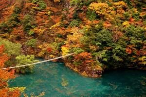 これは絶景すぎる 静岡県 寸又峡の美しすぎる紅葉まとめ Retrip リトリップ